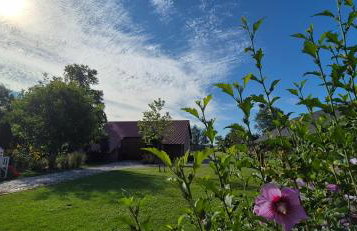 Osada Ostrowsko - Foto 37