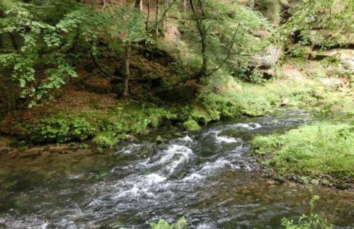 Gemütliches Ferienhaus in Sebnitz - Photo 23