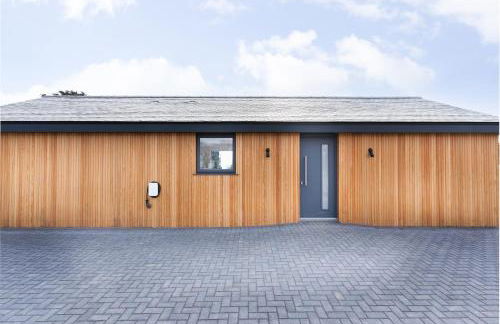 Brand new, Gwithian lodge, eco home - Foto 5