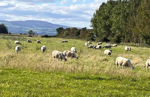 Sunset Cottage - Sleeps 6 - Parking - Garden - Foto 32