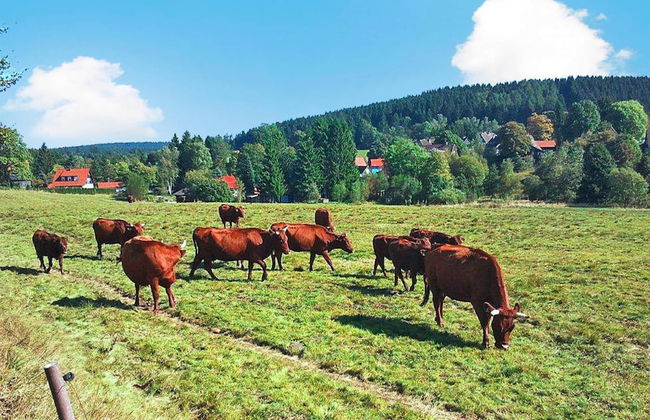 Cottage, Buntenbock - Photo 24