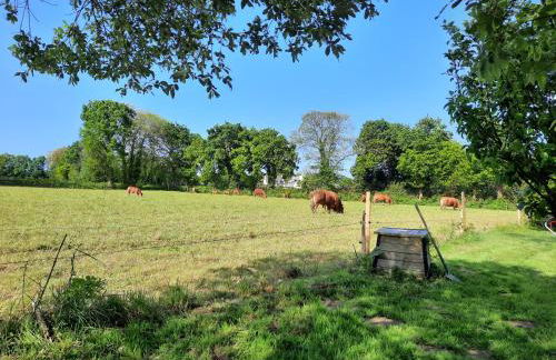 Petite maison bois 2 chambres proche mer et ville à la campagne - Photo 6