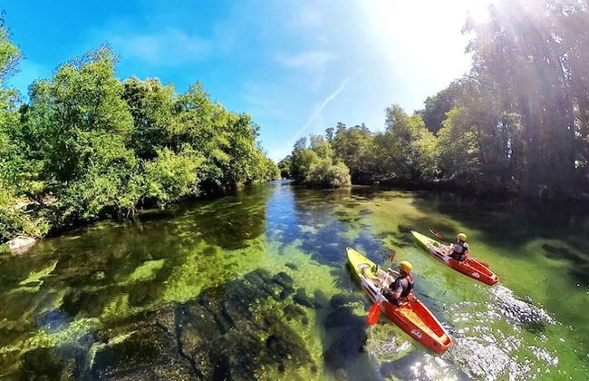 Quinta de Cypriano - Wine & Nature - Foto 48