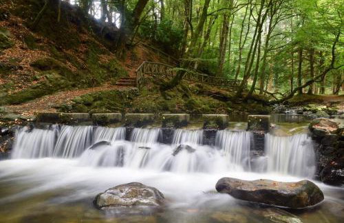 Oaktree Manor - BBQ, games rooms and pet friendly - Photo 35