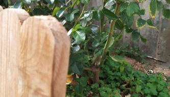 Holiday Home Edara Home - Haus mit privatem Garten by Interhome - Foto 2