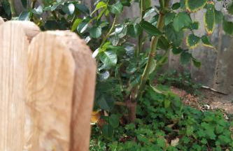 Holiday Home Edara Home - Haus mit privatem Garten by Interhome - Photo 2