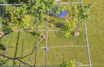 BS Village blue - Photo 33