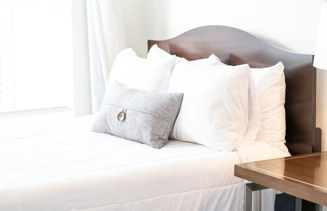 Venetian Beauty - Photo 6