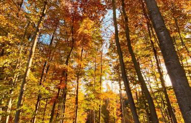 Ferienhaus Kleine Auszeit - Foto 48