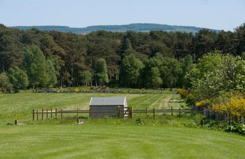 Clovenstone Lodges - Foto 24