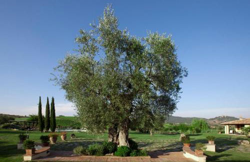 Il casale degli olivi - Foto 38