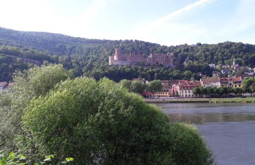Ferienwohnung Neckarblick - Foto 1