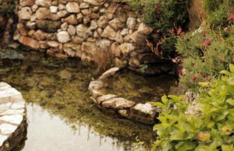 Casa Rural Penaquente - Foto 77