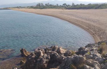 Tzanetos Seaside - Foto 23