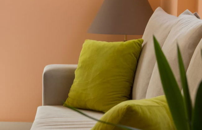 Ozone Complex by A&D Properties - Foto 25