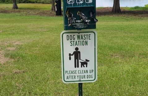 Back in Time 1940s Lake View House - Photo 21