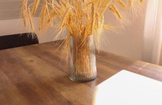 Naturzauber im Harz - Foto 13