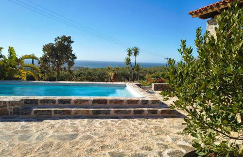 House of Polymnia - Photo 69