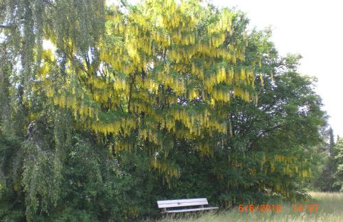 Ferienhaus am Geiersberg - Foto 38