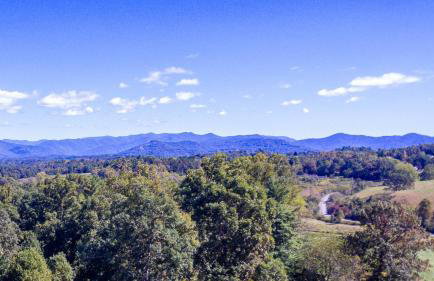 Luxurious House with Pool Near Asheville by Mighty Tree Properties - Foto 23