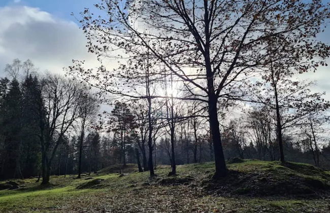 4 Person Holiday Home in Boras - Photo 12