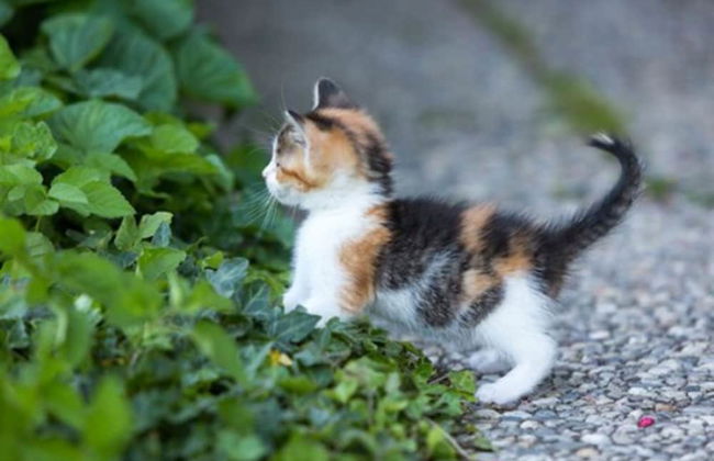 Zaißlhäusl Hof Ferienwohnungen - Photo 35