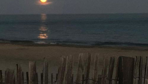 Mas de la Plage - Foto 2