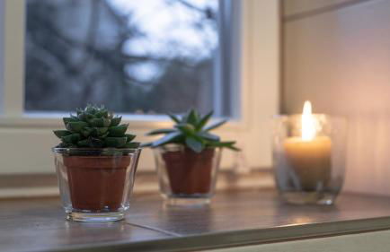 Gesindehaus Börnecke - Foto 40