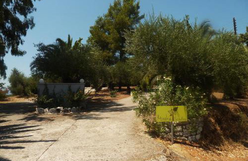 Ktirakia Studios - Foto 50