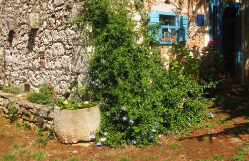 Holiday Home Botanica - Foto 9