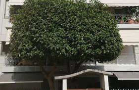 Cozy ground floor studio near metro! - Foto 17