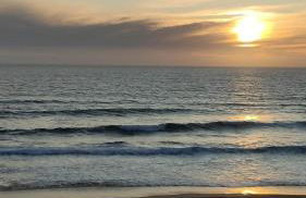 Ribeiro house - Foto 31