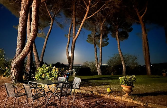 Agriturismo Le Querciole - Foto 54