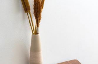 Casa Oceano-Ave do Mar - Foto 20