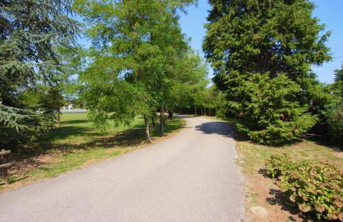 Società Agricola La Staccionata - Foto 22