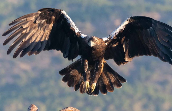 Tour en 4x4 por la Sierra de Andújar - Foto 4