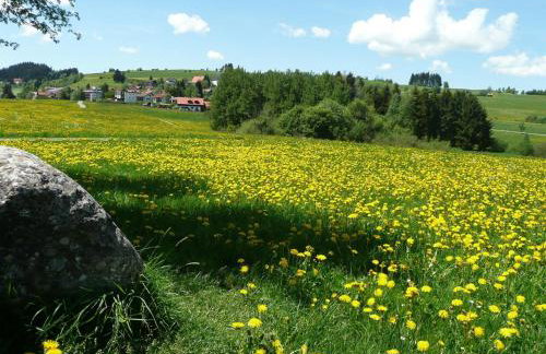 Bergkiefer - Ferienwohnung - Foto 23