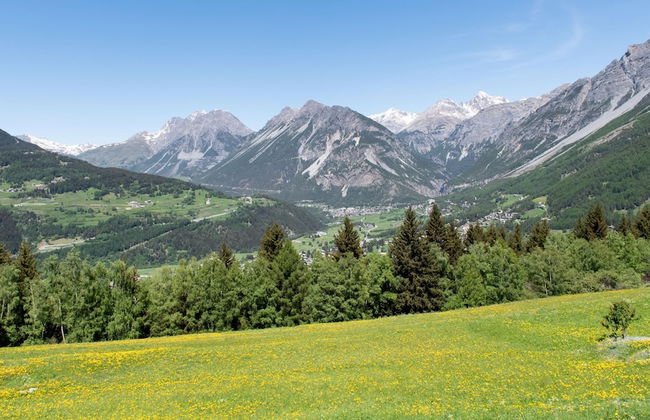 Italianway - San Pietro 8 - D - Larice - So-l563-spie8d1 - Foto 43