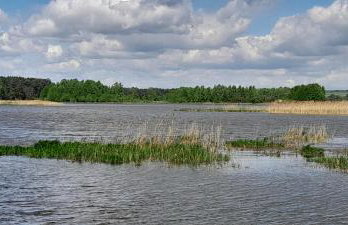 Leśniczówka Zielone Zakole - Foto 59