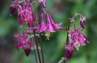 Klemmbachidyll - Photo 29