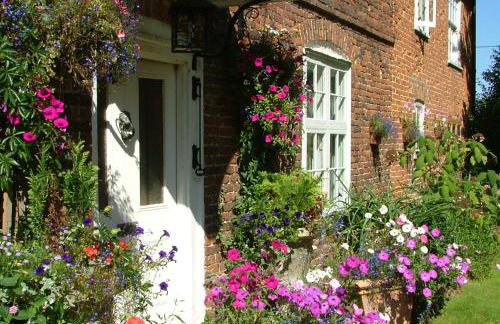 Molland Manor House Self catering (10 bedrooms 9 bathrooms) - Foto 5