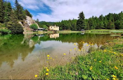 Elegance Mountain Edolo Ponte di Legno - Foto 38