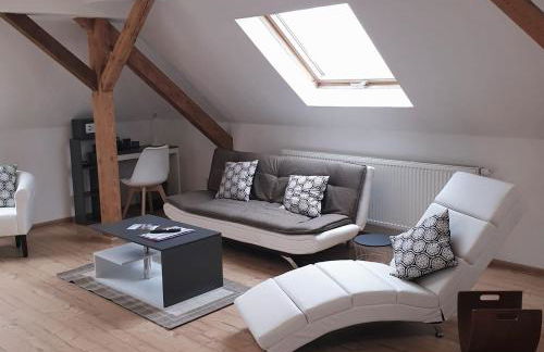 Vogelnest Riesa - Foto 1