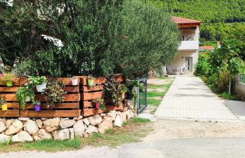 Apartmani Maslina Žuljana - Foto 2