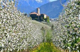 Living with style between mountains & apple orchards - Foto 45