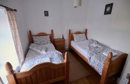 Golan - Ukc4677 - Foto 8