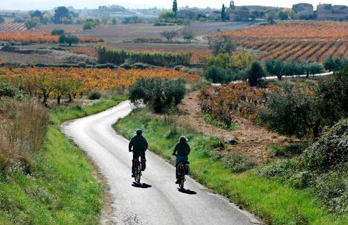 Ca l'Helena - Foto 23