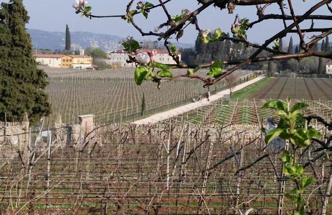 Agriturismo El Crear - Photo 44