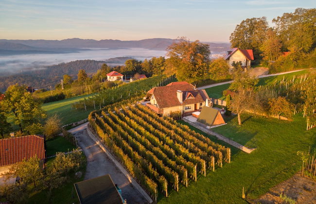 Vineyard Cottage Hocevar - Foto 19