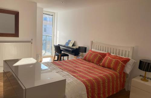 River view spacious apartment - Foto 7